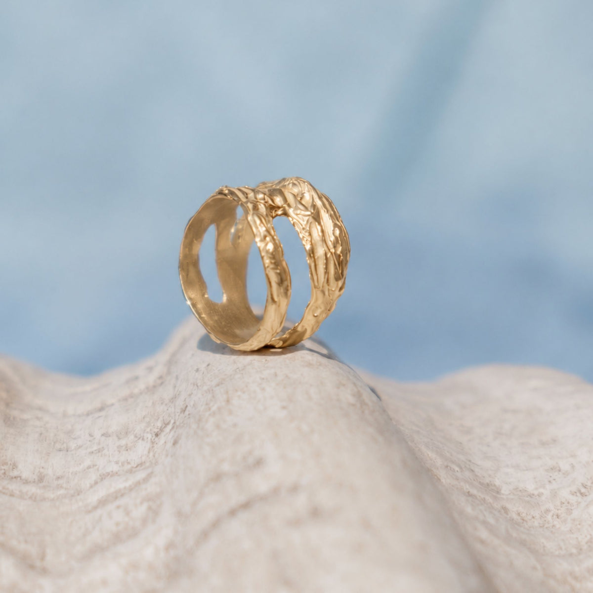 Anel Ostra Dourado