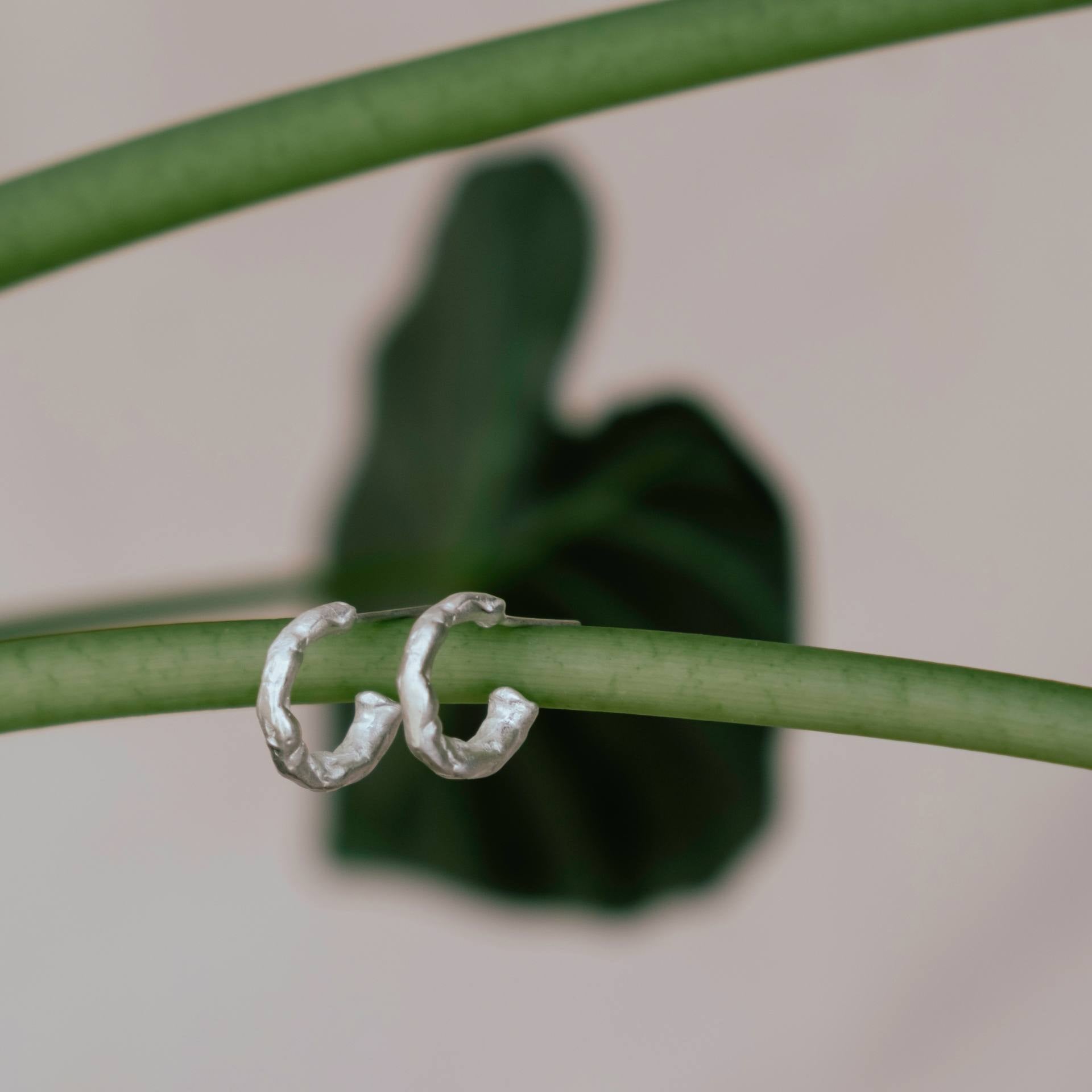 Brinco Argola Petite Orgânica