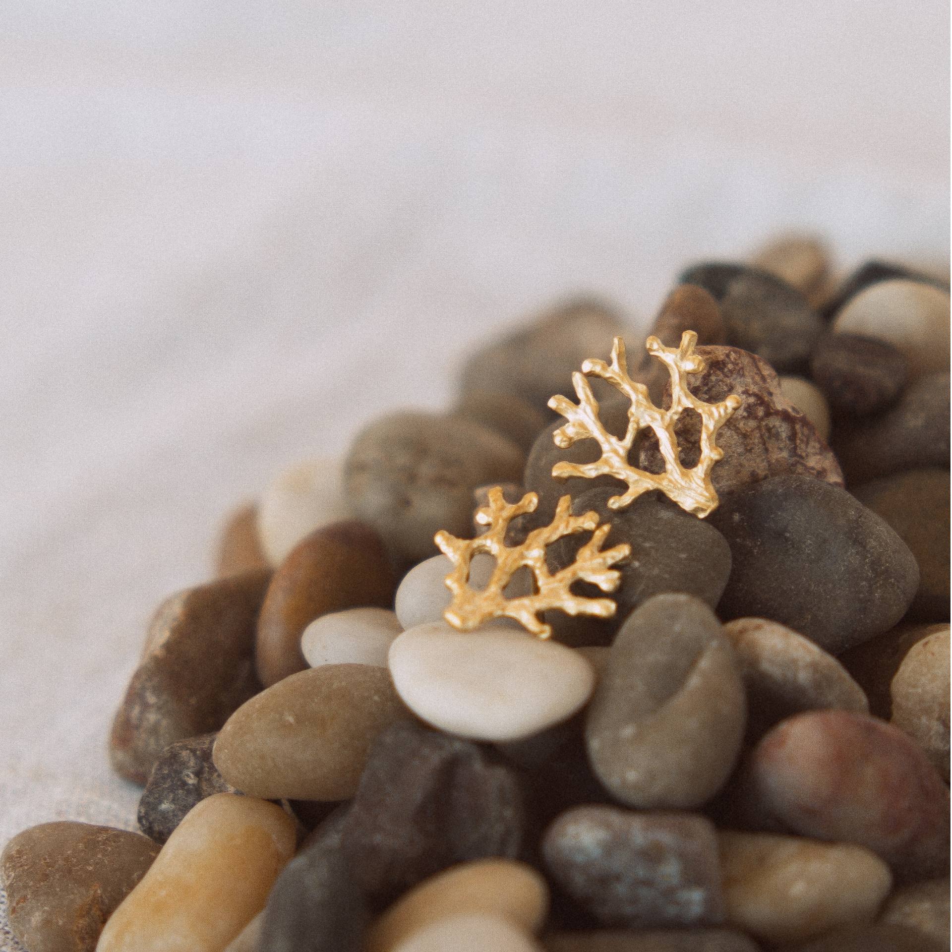 Brinco Coral