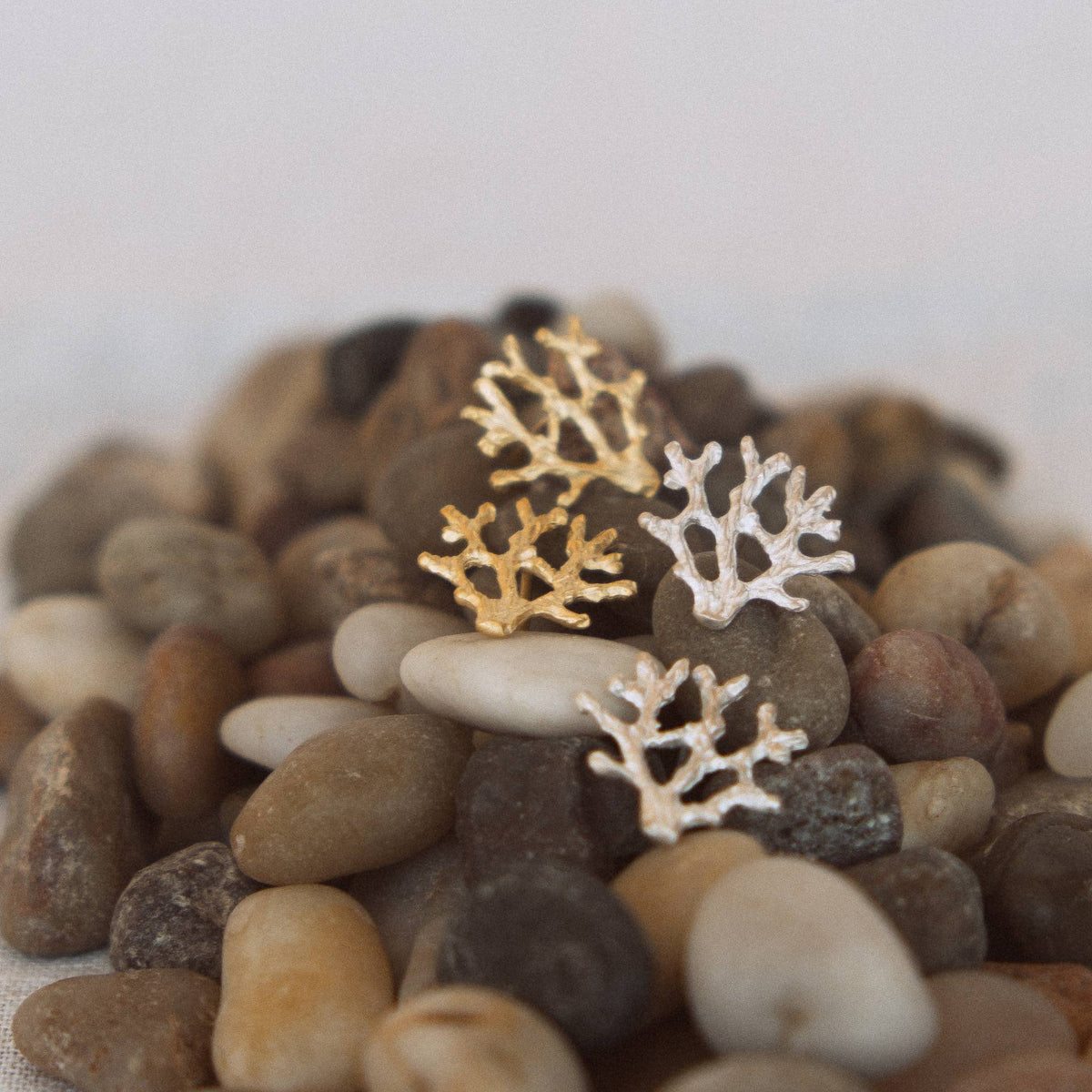 Brinco Coral